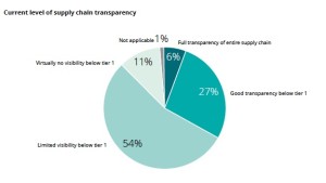 Deloitte Pie Chart