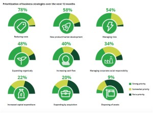 Deloitte Strategies Priorities